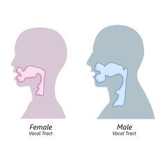 Tratto vocale donna e uomo